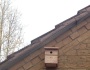 Bird Boxes up ready for Spring