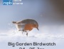 RSPB Big Garden Bird Watch 2015